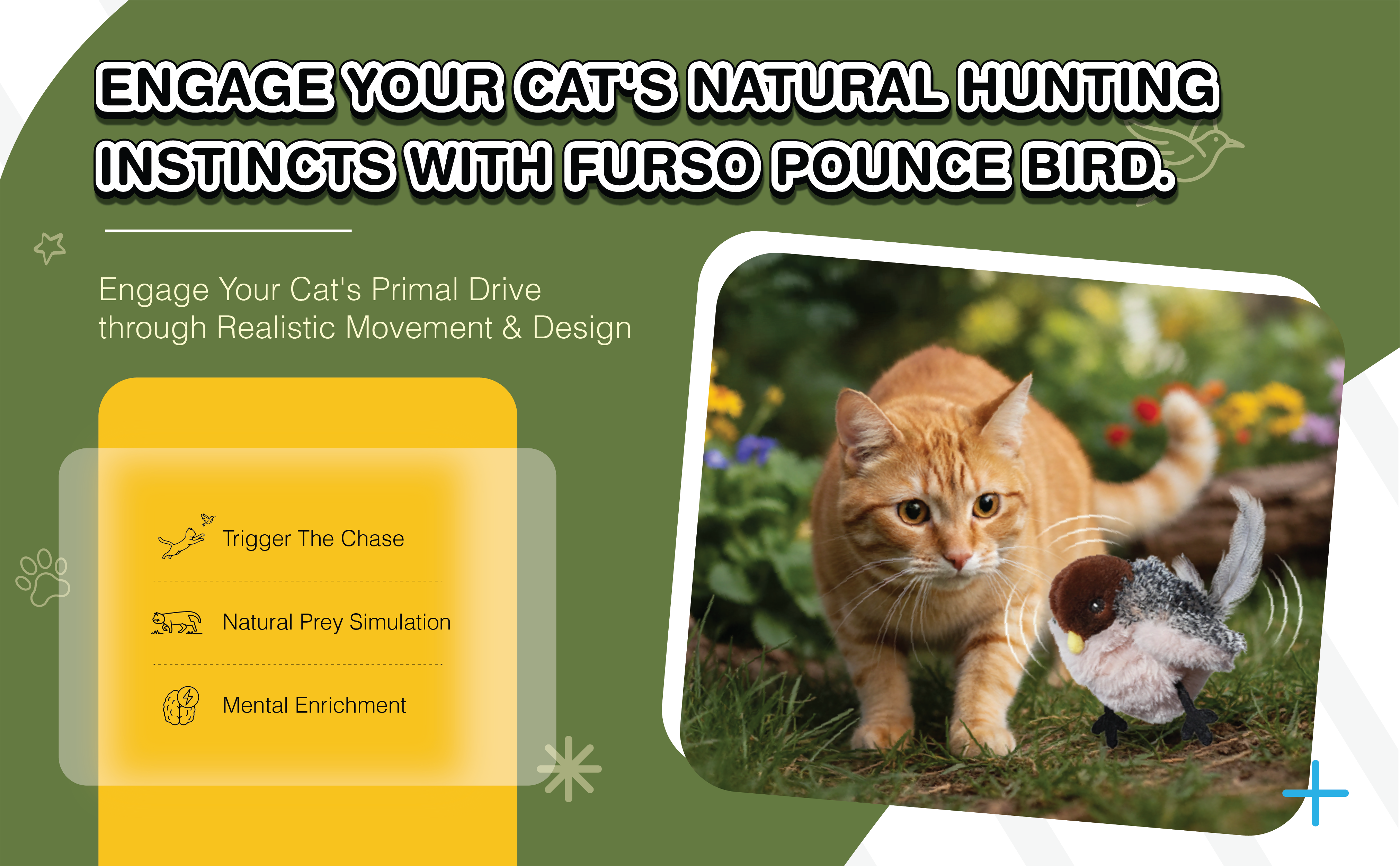Remote Control Cat Toys: Are They Worth It?