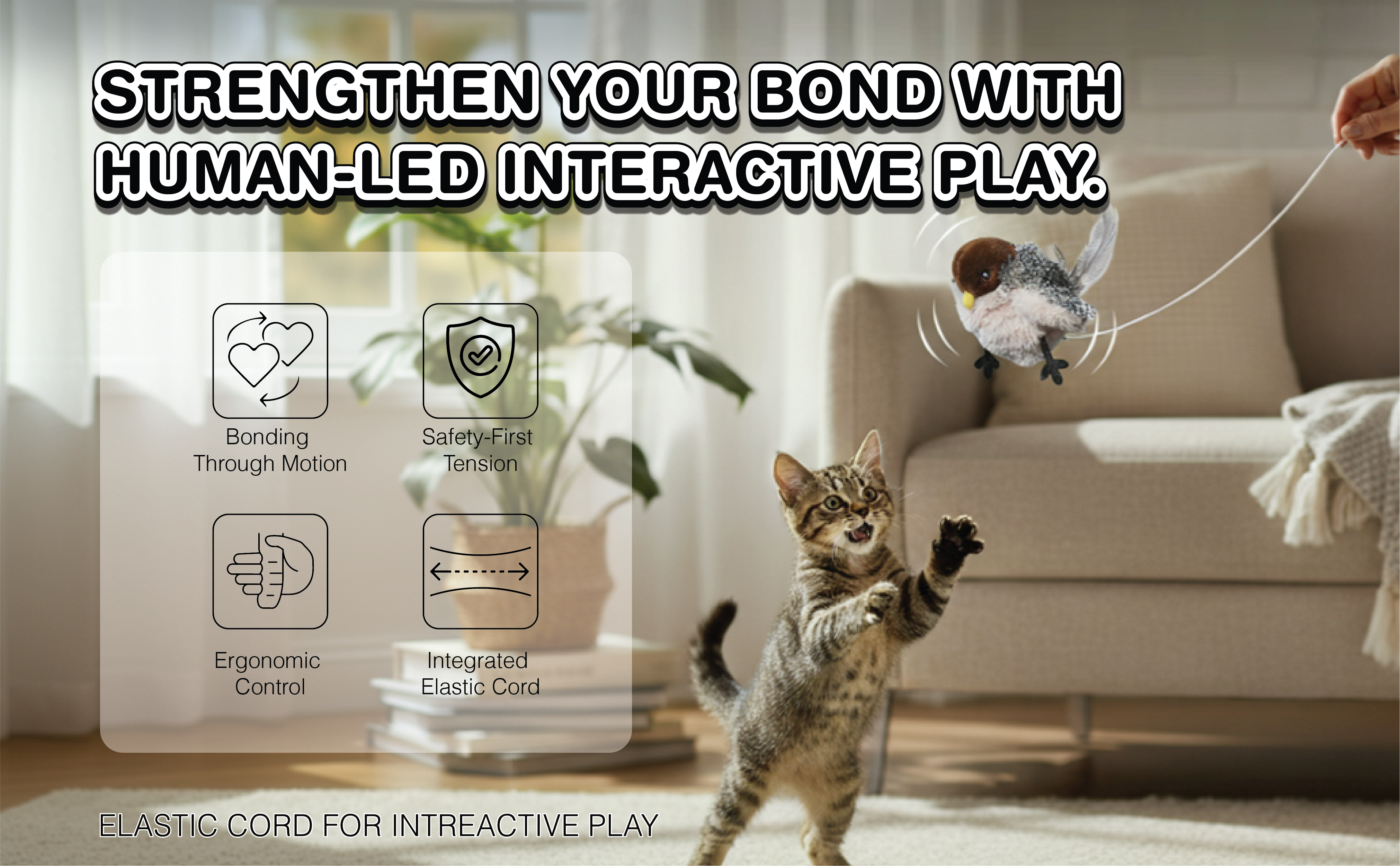 Flapping Bird Cat Toys: Why Cats Go Crazy for Them