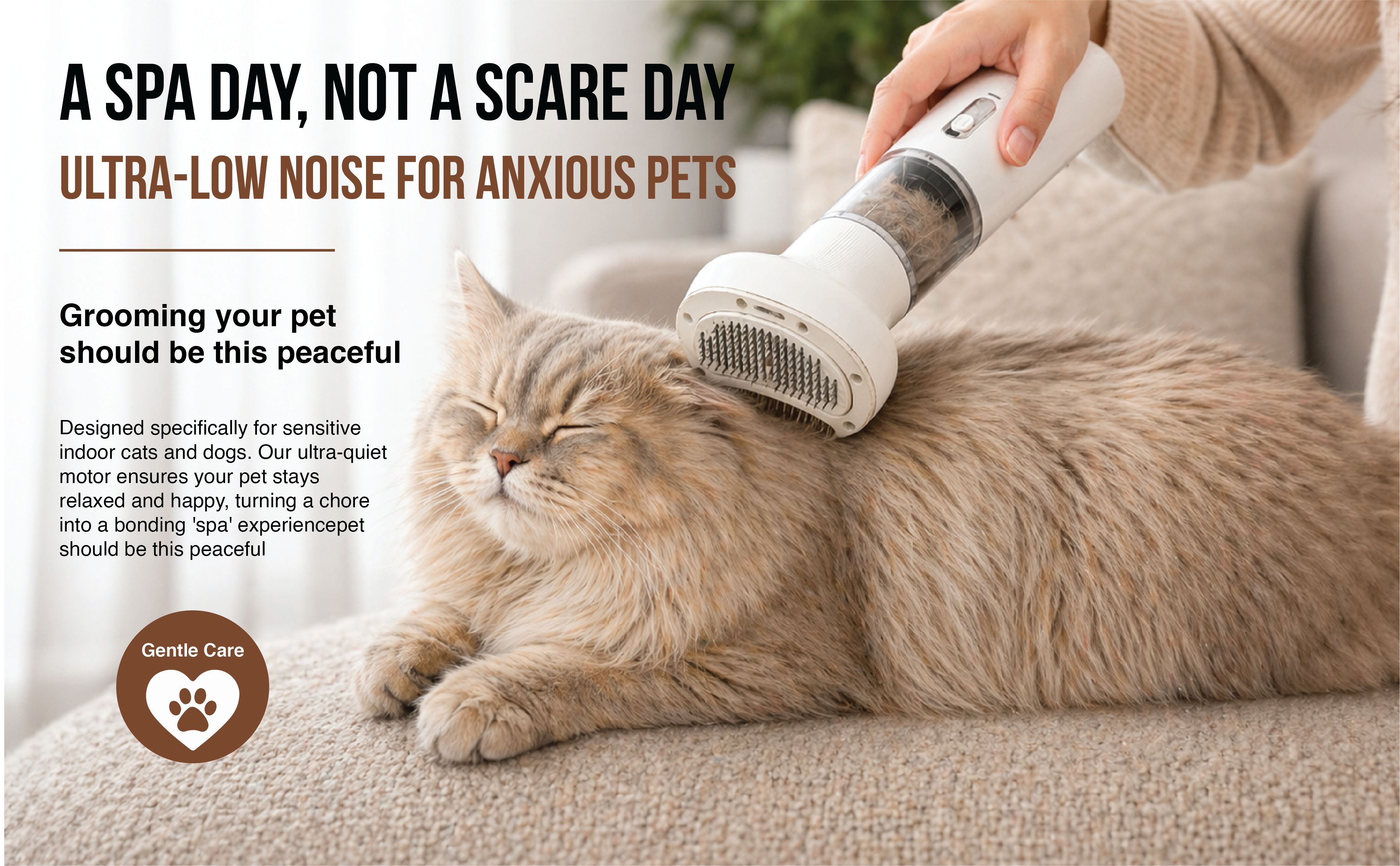 How to Groom an Anxious Cat Without Stress (Step-by-Step Guide)