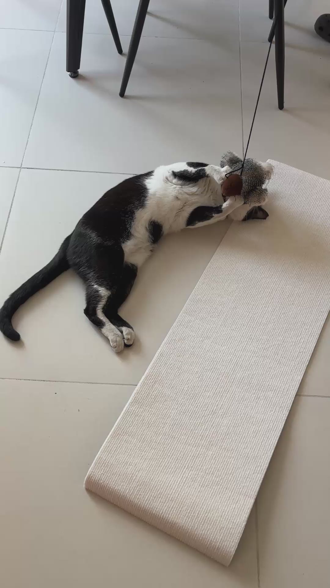 FurSo Pounce Bird — Interactive Cat Toy