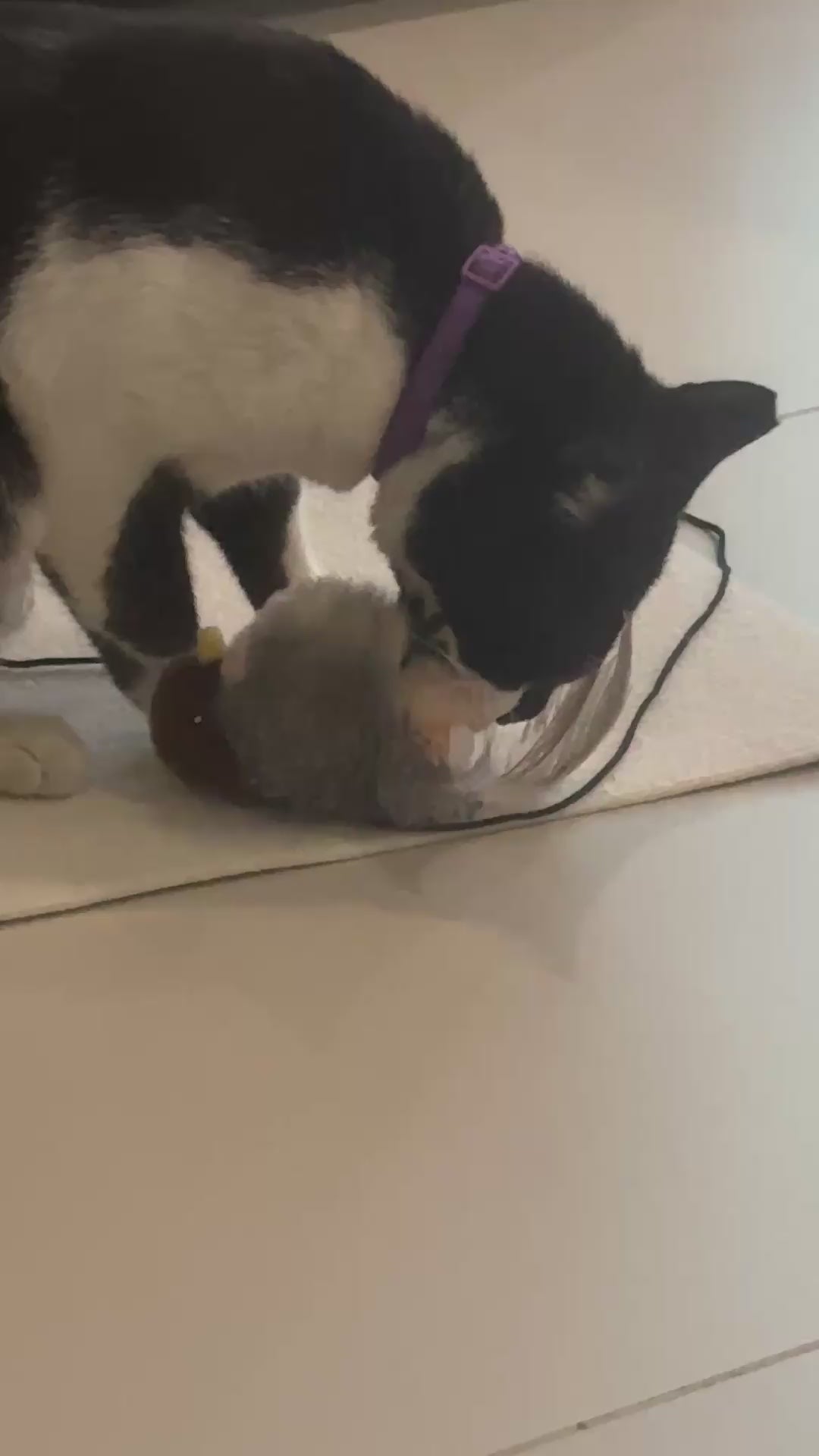 FurSo Pounce Bird — Interactive Cat Toy