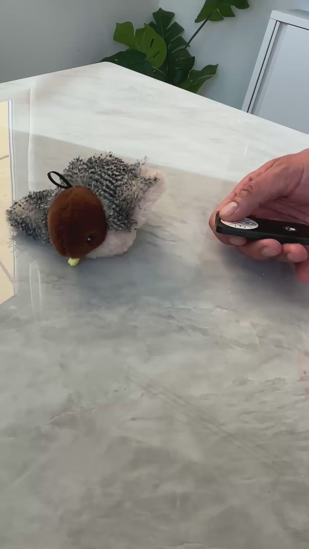 FurSo Pounce Bird — Interactive Cat Toy
